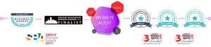 website-audit