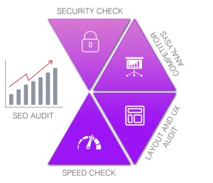 website-audit
