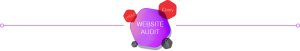 wesite-audit