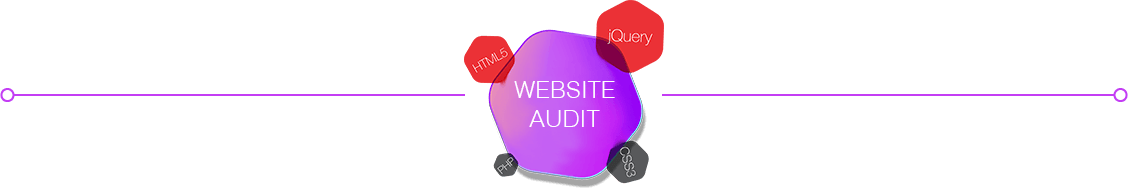 wesite-audit